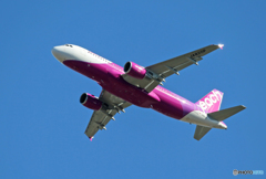 「SKY」 Peach A320-214 JA820P Takeoff