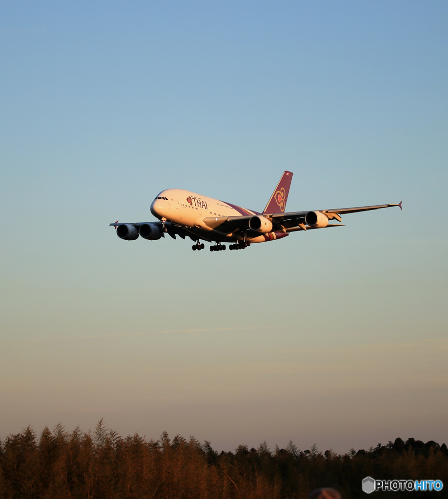 「蒼空」Thai A380-841 HS-TUD 来た～