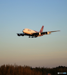 「蒼空」Thai A380-841 HS-TUD 来た～