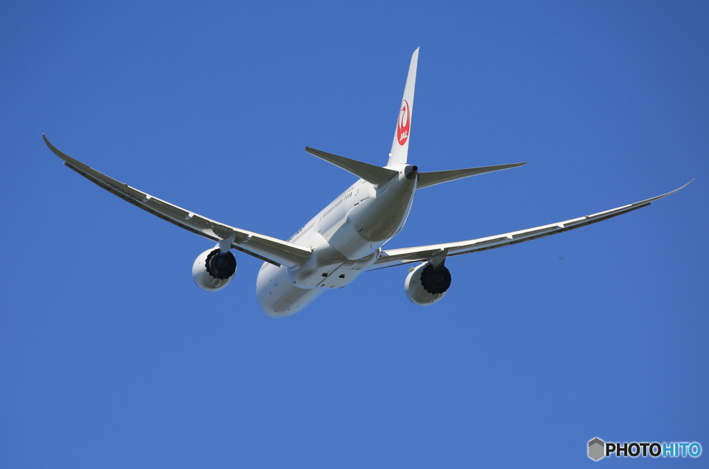 「青が大好き」 JAL787-9 JA869J 離陸です