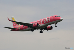 「SKY」? FDA エンブラエルERJ-175 JA03FJ 到着