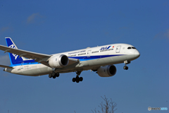 「群青色」ANA 787-9 JA895A Landing  