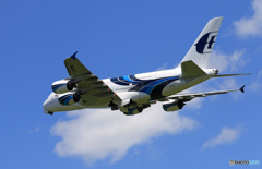 「すかい」 Malaysia A380-841 9M-MNE 飛行 