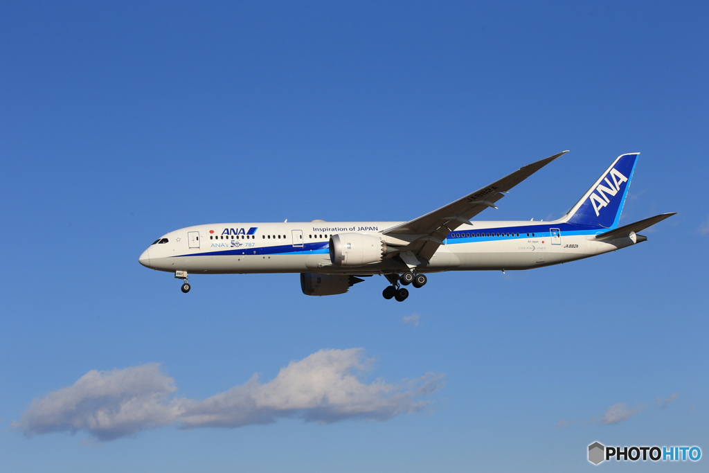 「あおぞら」 ANA 787-9 50機目 来た～