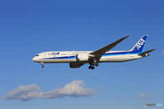 「あおぞら」 ANA 787-9 50機目 来た～