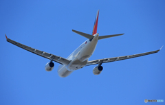 「そらー」 Philippines A330-343 RP-C8781飛ぶ
