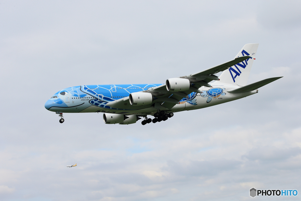 「曇り」ANA A380-841 JA381A Landing 