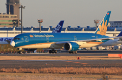 「そらー」 Vietnam A350-941 VN-A869 飛ぶ