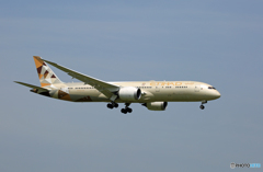 「青が好き」 ETIHAD 787-9 A6-BLC 着陸します