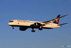 「群青」 Air Canada 787-9 C-FRTU着地前