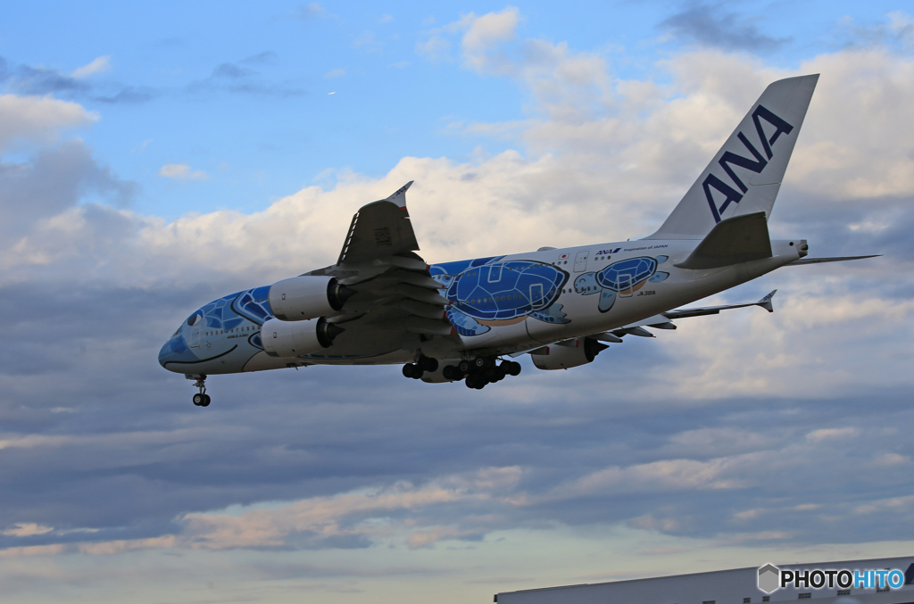 「はれ」ANA A380-841 JA381A 到着