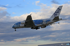 「はれ」ANA A380-841 JA381A 到着