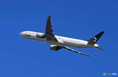 「SKY」 ANA Star 777-381 JA781A 離陸