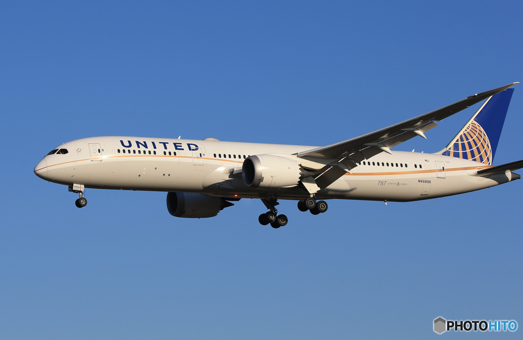  「青が好き」 UNITED 787-9  Landing  