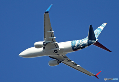 「良い天気」☮アメリカ企業所有:ウィルミントン・737 N737ER☮