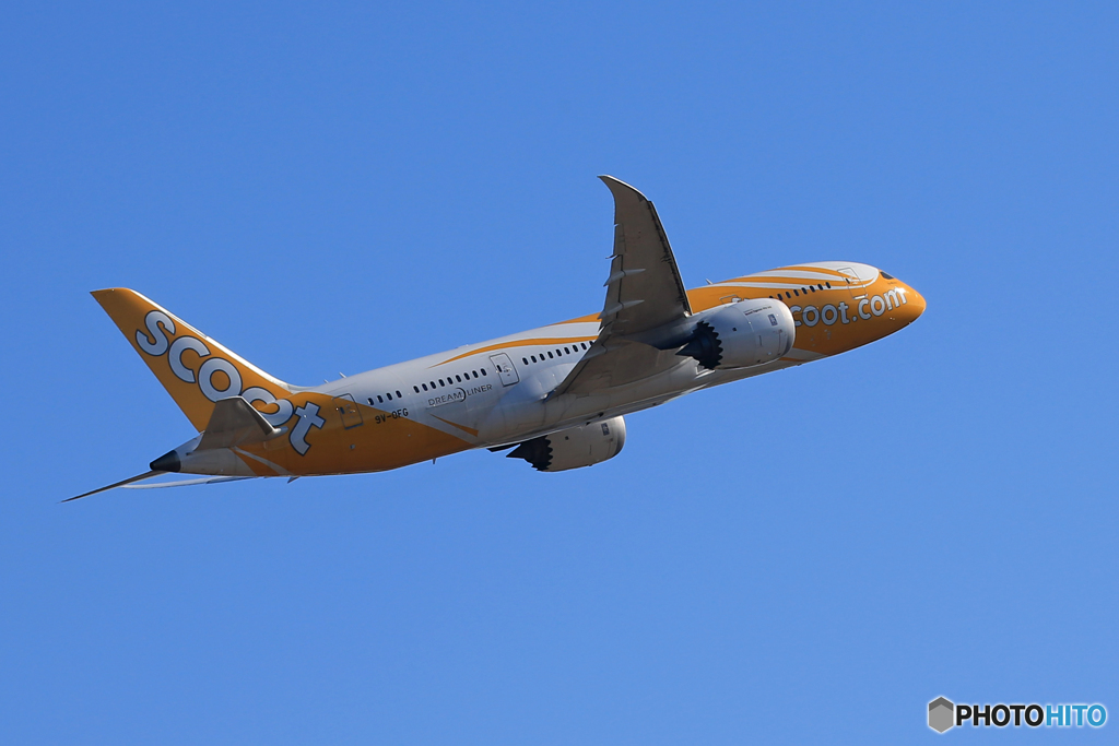 「群青」 scoot 787 9V-OFG Takeoff 