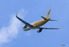 「SKY」 バニラ  A320-214 Takeoff