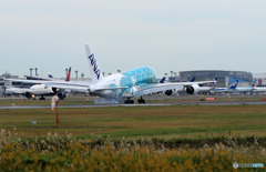 「晴れ」 Flying Honu A380 JA382A  Landing
