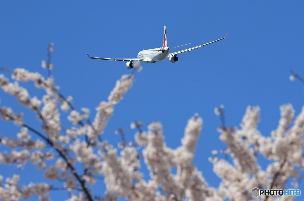 「空色」セイロン紅茶の国・テロリスト残念です‼