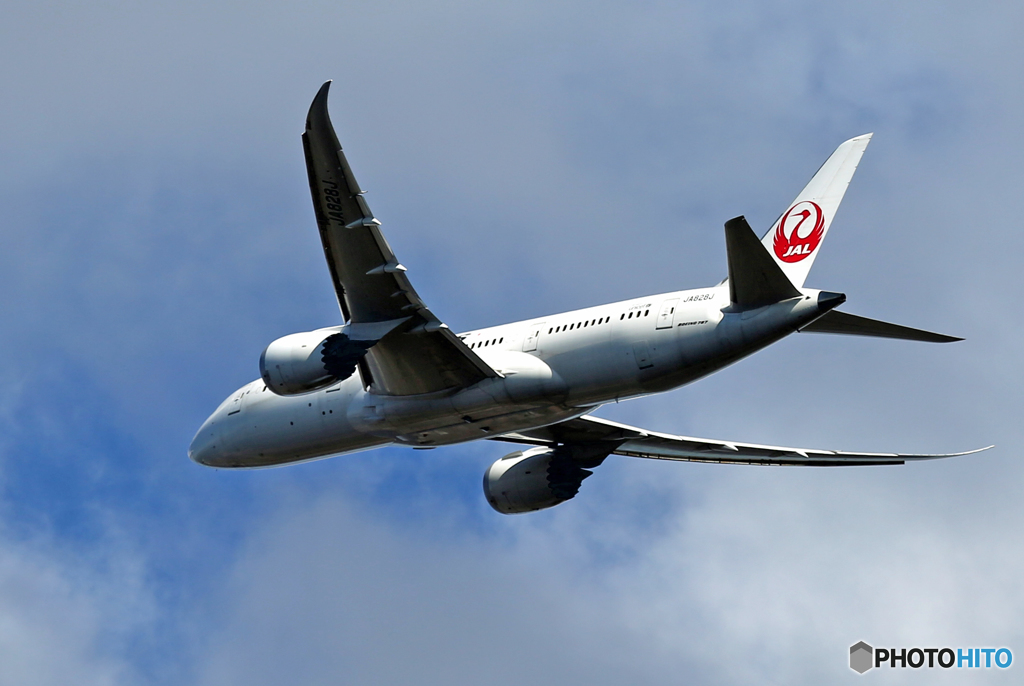 「すかい」 JAL 787-8 JA828J 飛行 