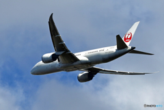 「すかい」 JAL 787-8 JA828J 飛行 