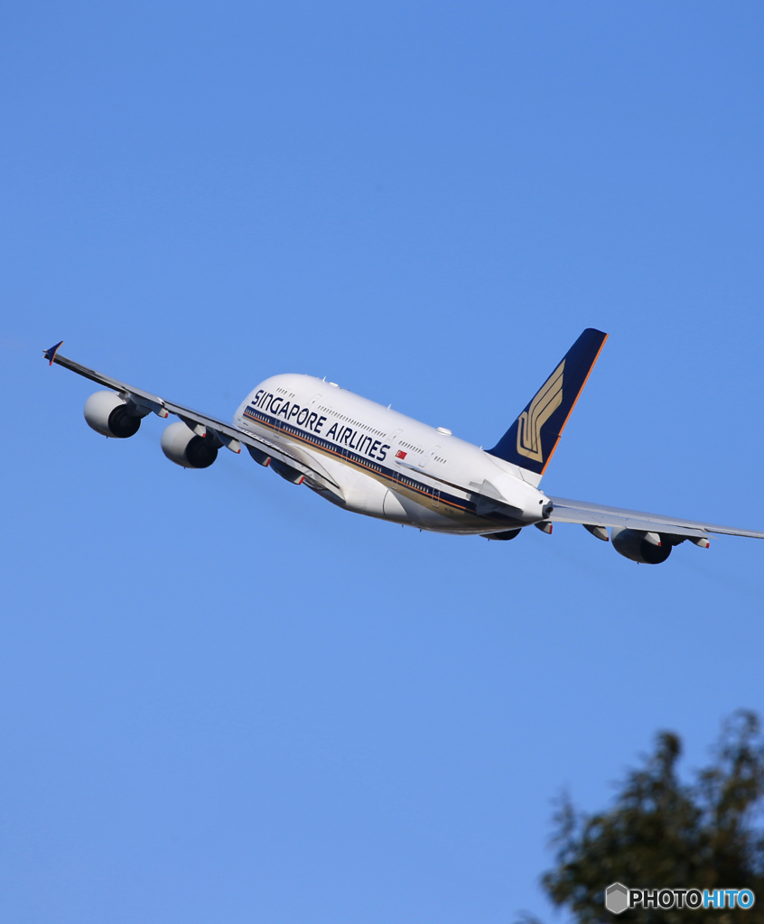 ☀「青い空」が一番Singapore A380-841 