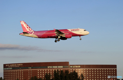 「ブルー」ピーチ A320-214 JA825P  着陸