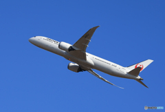 「群青」JAL 787-9 JA863J Takeoff 