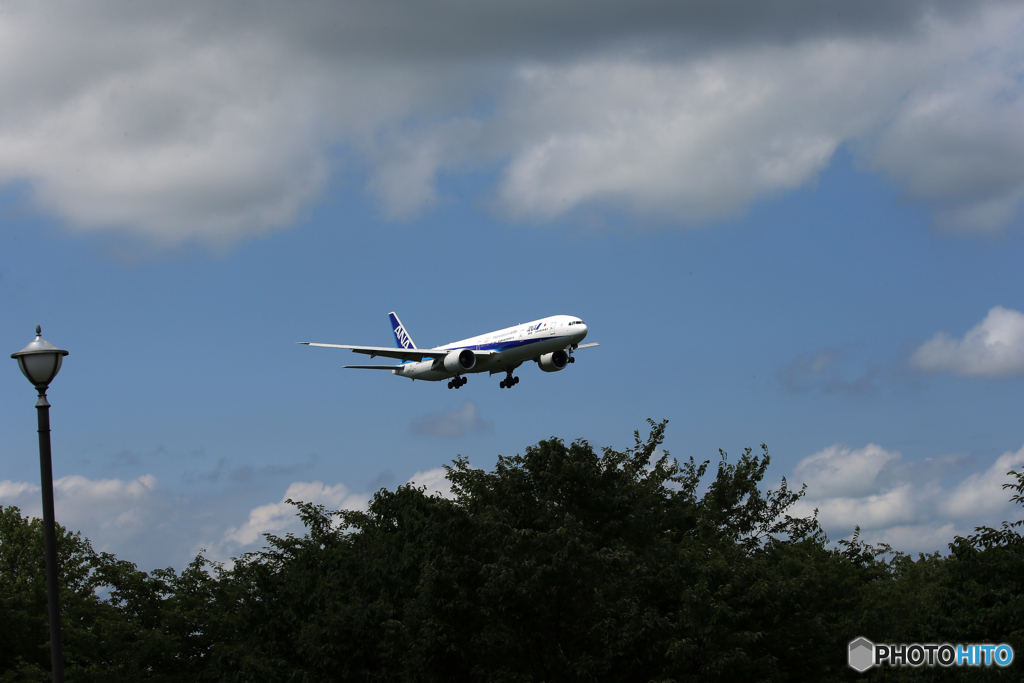 「すかい」 ANA 777-381 JA774A 到着です
