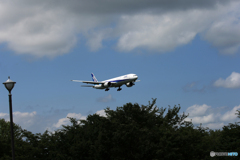 「すかい」 ANA 777-381 JA774A 到着です