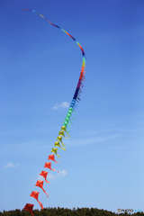 [cool]     長い・ダイヤ連凧「カラフル凧」