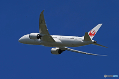 「青が好き」 JAL 787-8 JA844J 出発です