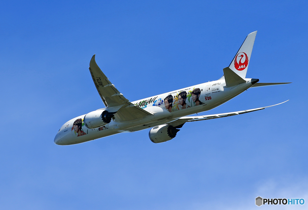 「晴れ」JAL B787-9  特別塗装 JA873J 離陸です