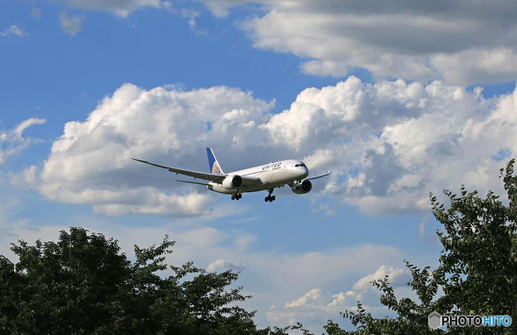 「ブルー」 UNITED 「夏雲」 787-8 到着です