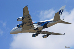 「青い日」 malaysia A380-841 9M-MNF Takeoff 