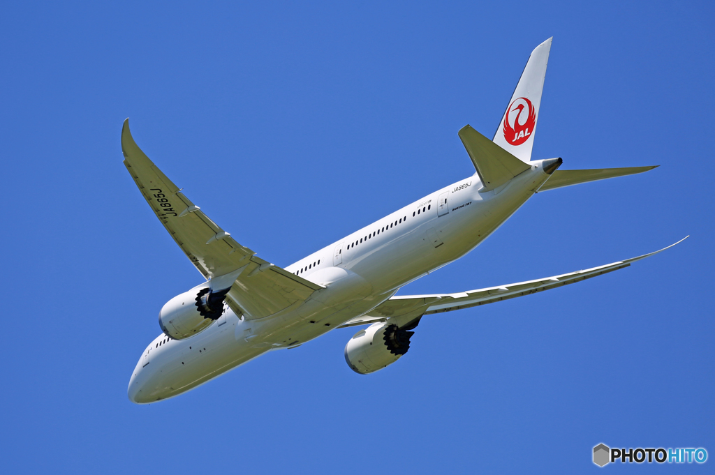 「青が好き」 JAL 787-9 JA865J 飛行
