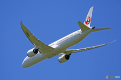 「青が好き」 JAL 787-9 JA865J 飛行