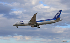 「青の空」ANA 787-8 JA805A 到着