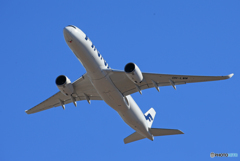 「青い日」 FINNAIR A330-941 OH-LWM 離陸
