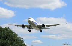 ☮伊丹空港に行って来ました ・ ☮ANA