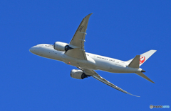 「SKY」Japan Airlines 787-8 JA842J 離陸します