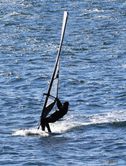 「淡い海」　頑張る・ウインドサーフィン