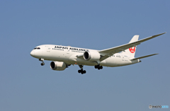 「青色が好き」  JAL 787-8 JA843J 到着です