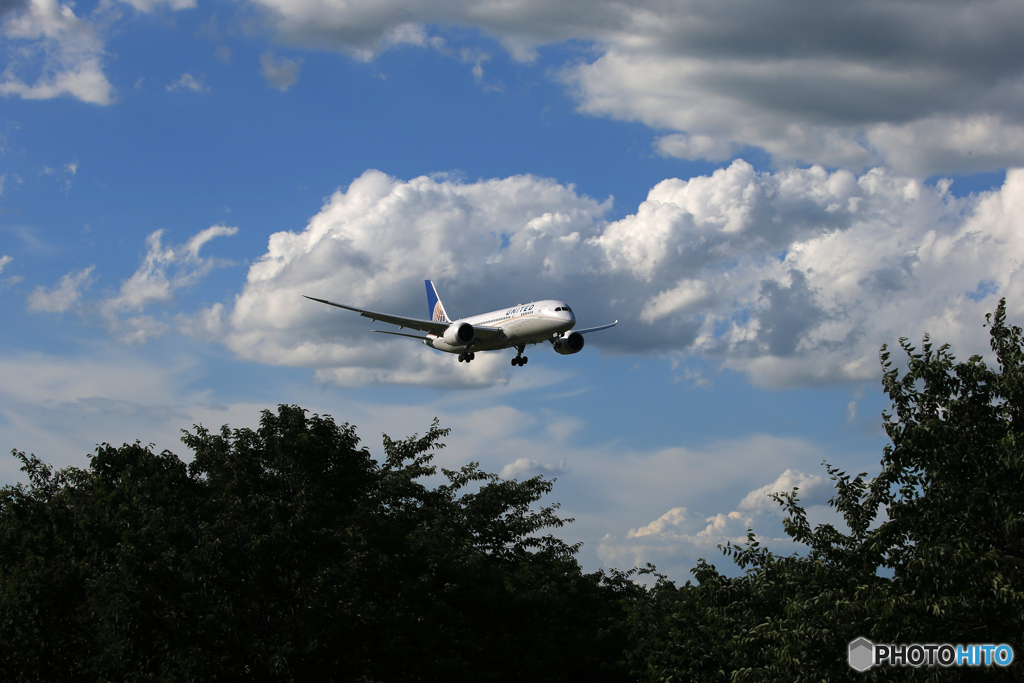 「SKY」UNITED 787-8 [なつぞら] 着陸