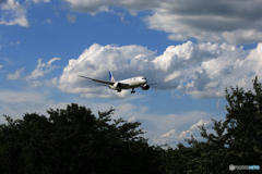 「SKY」UNITED 787-8 [なつぞら] 着陸