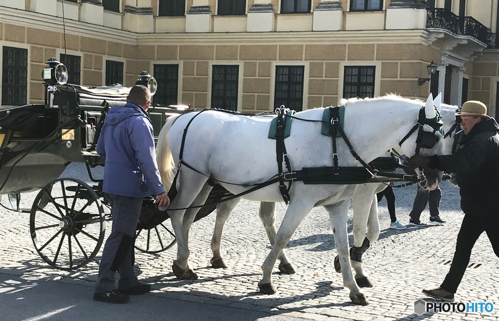 オーストリア  (1041)  ウイーン/シェーンブルン宮殿前の白い乗り物	 