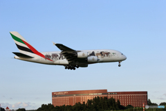 「青が好き」エミレーツ動物愛護機A380-861 Landing