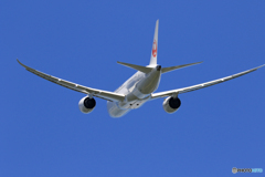 「良い天気」 JAL 787-8 JA843A 離陸