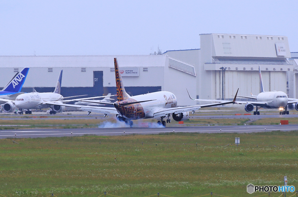 ☮レア機の着陸ですね！マリンドエア☮