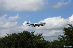 「晴れ」 Japan Airlines 777  Landing